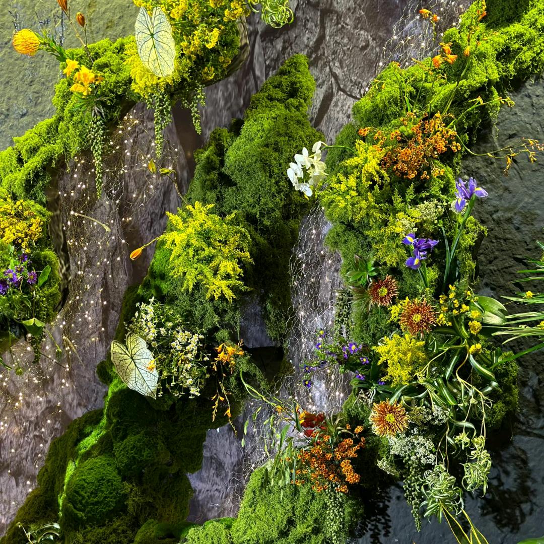 火山口的苔藓（在厦门）