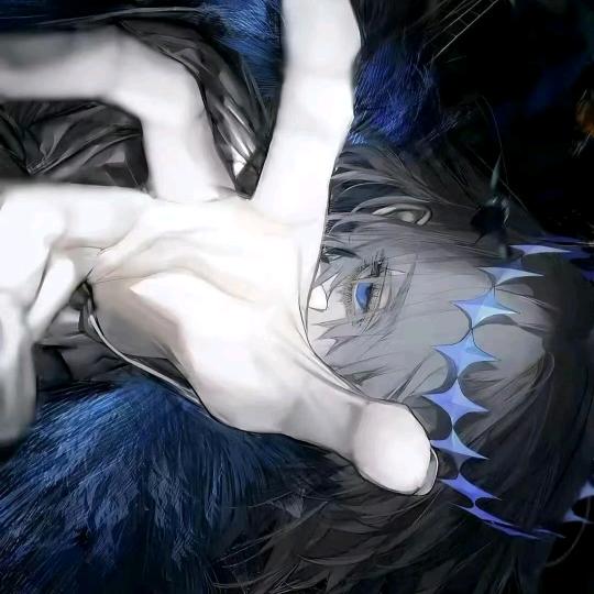 鸢