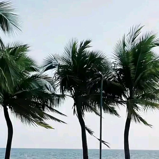 人间清醒大冤种