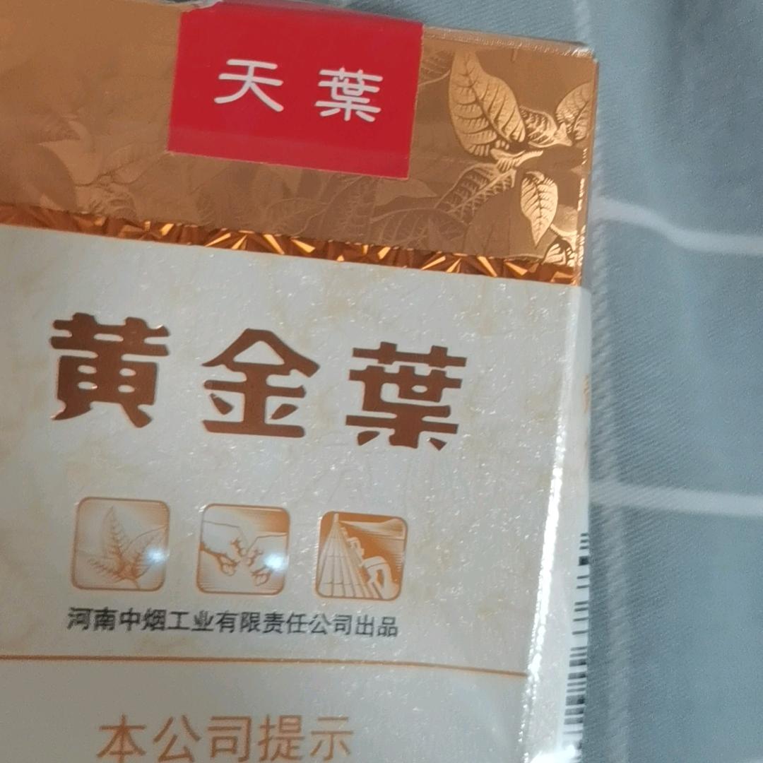 风尘过往
