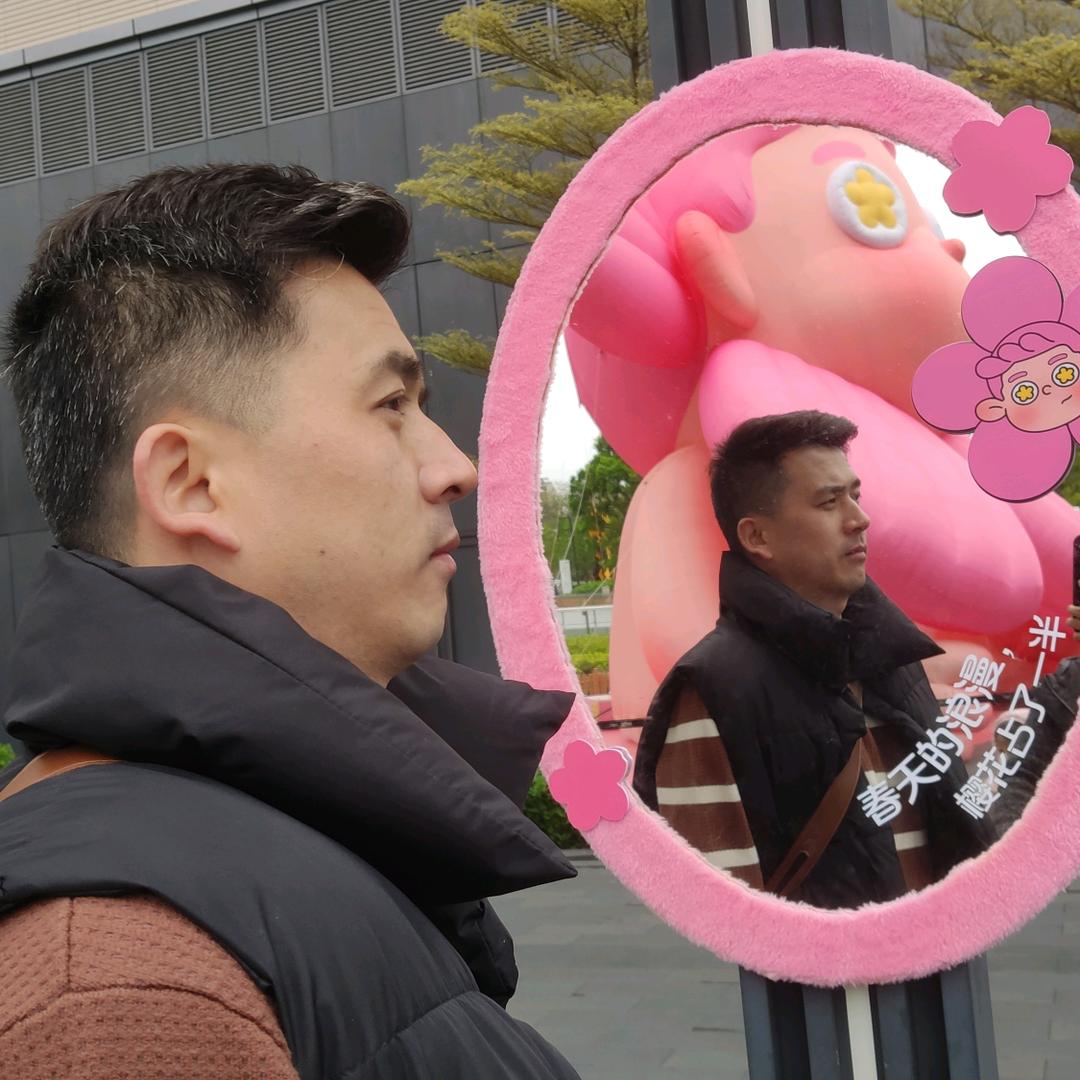 盛开的海棠