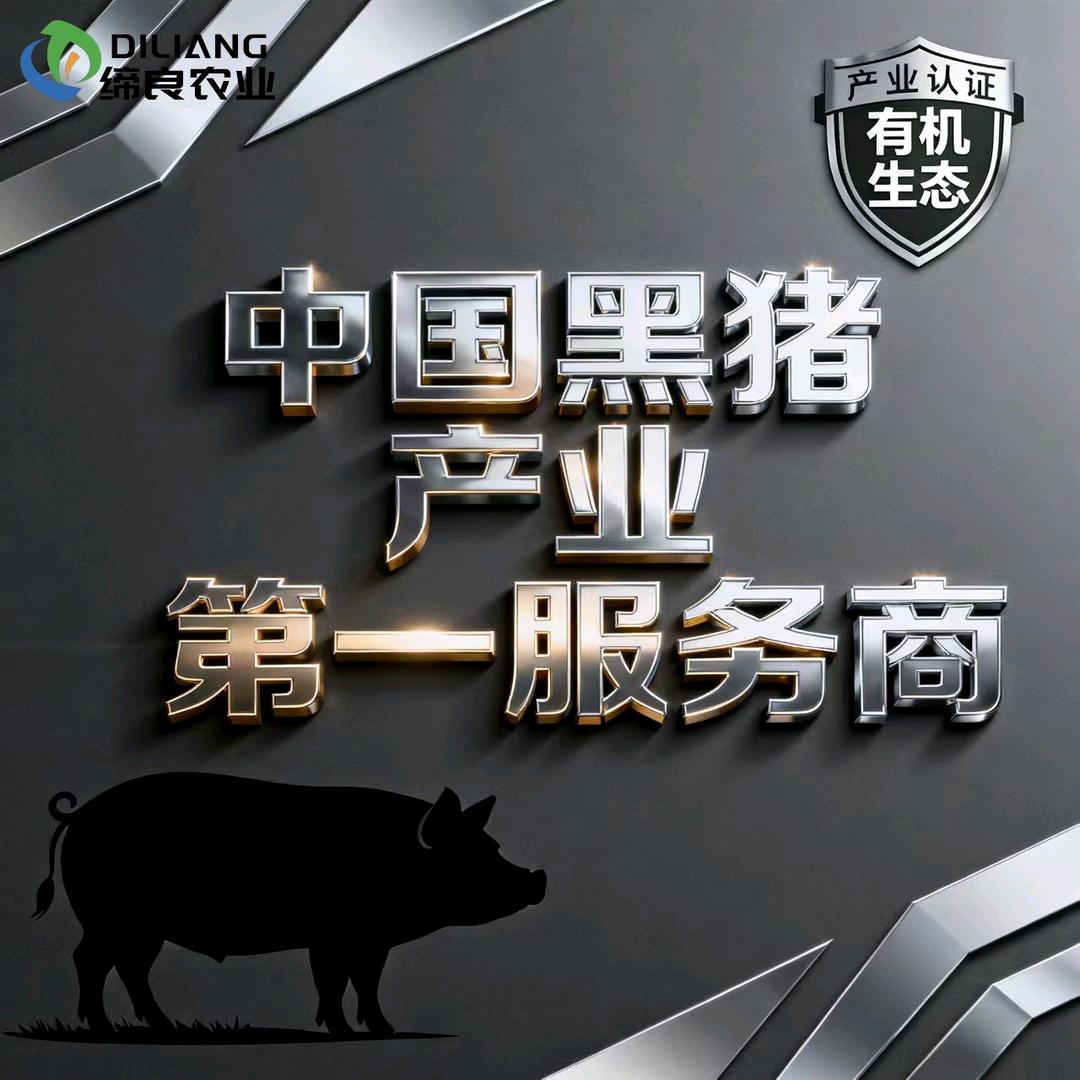 缔良黑.芯心乡系创始人