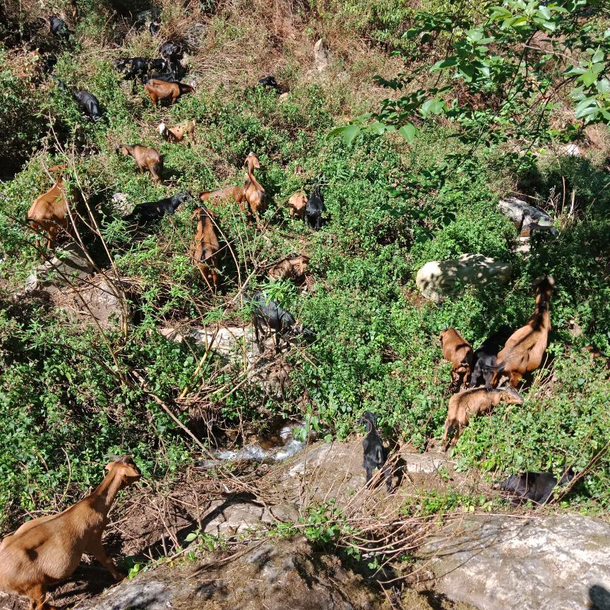 清塬家庭养殖农场
