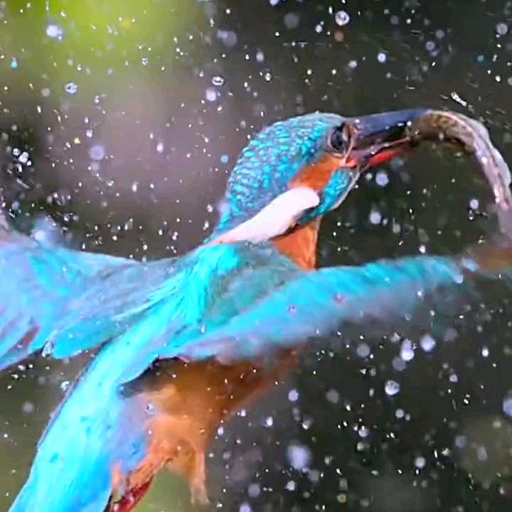 笑谓