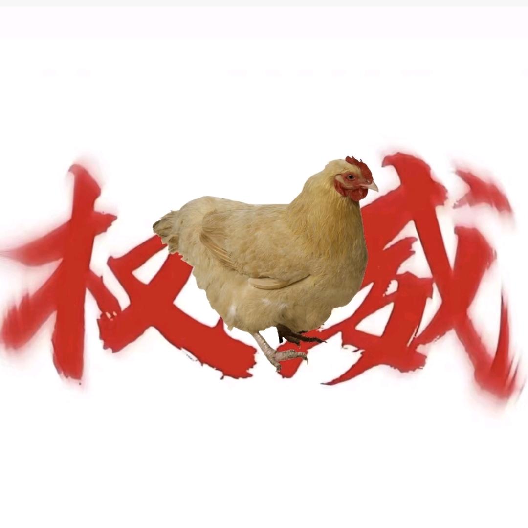 忧郁的鸡王