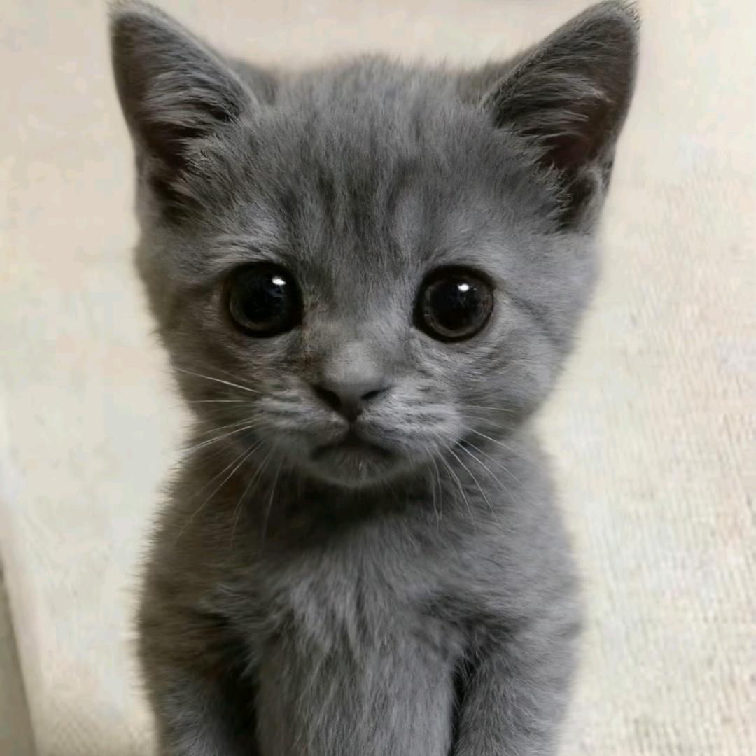 在下Z北笙❤️