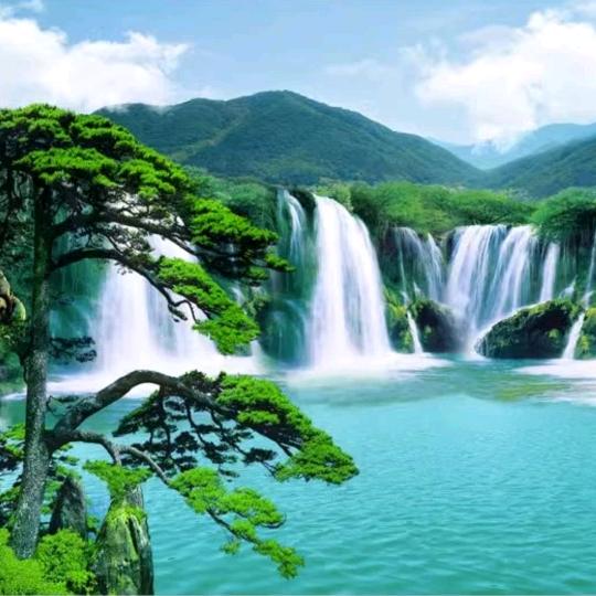 三姐探房（租房售房）