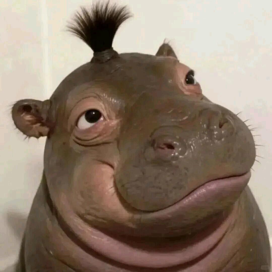 隔壁的隔壁老陈