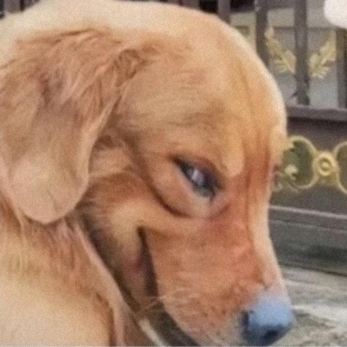 67（超自然行动组摸金捉妖师）