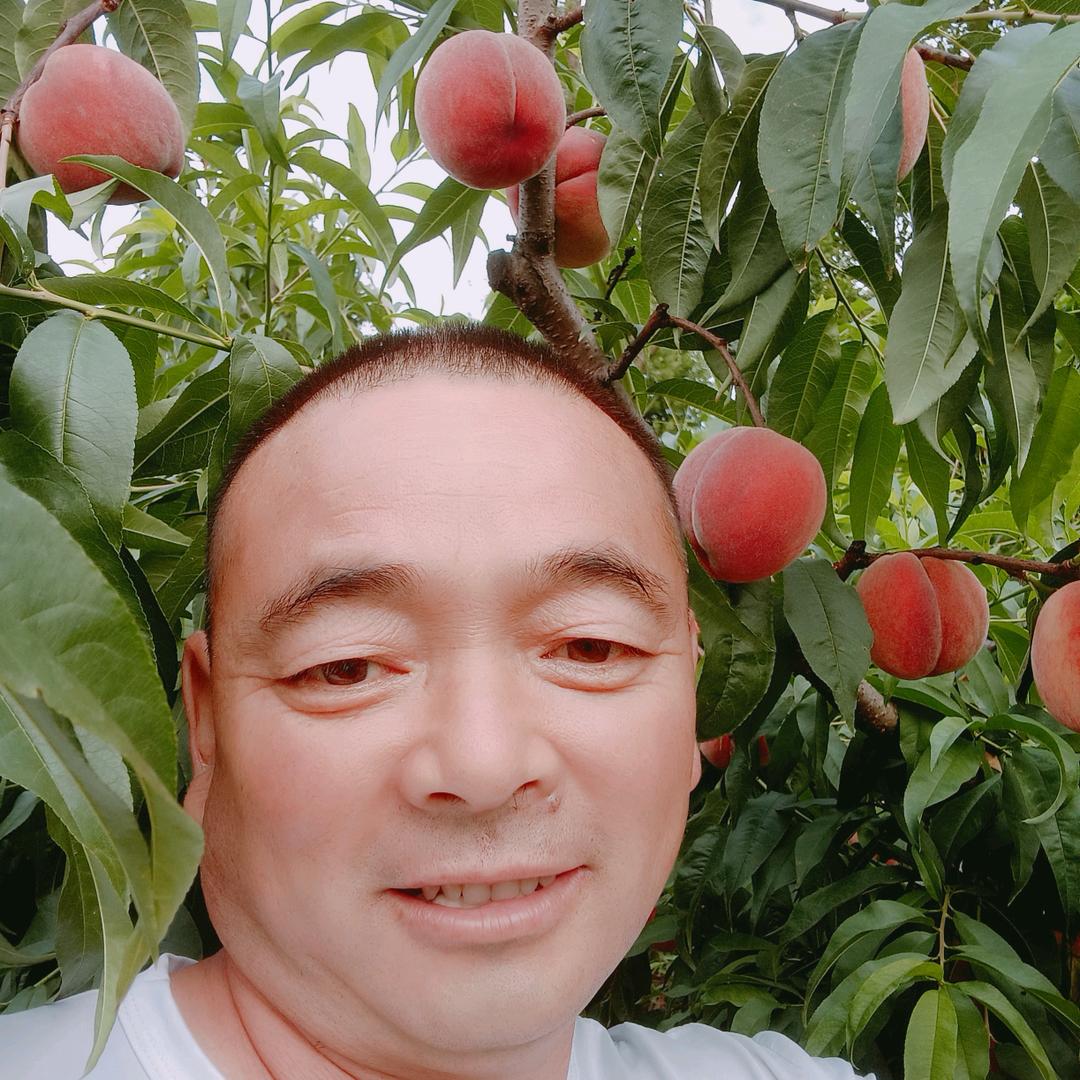富哥