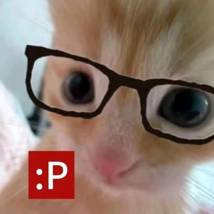 𝒀𝑴.澜屿的妍一宝贝〰️（补气血版）