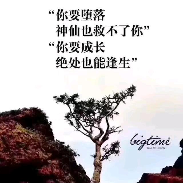 选择大于努力