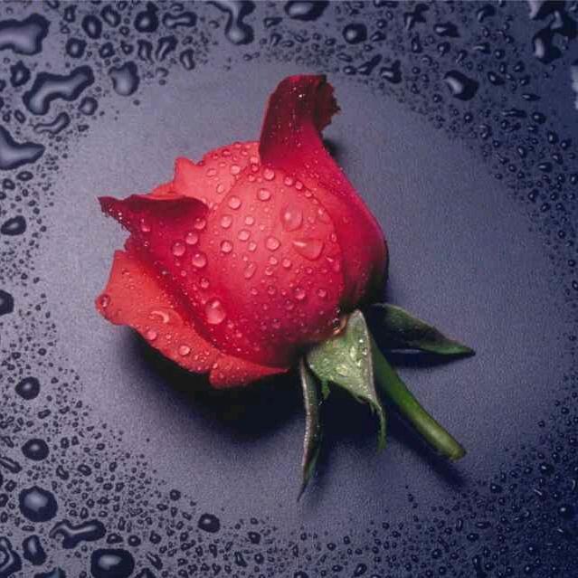 小满（首播20:10）