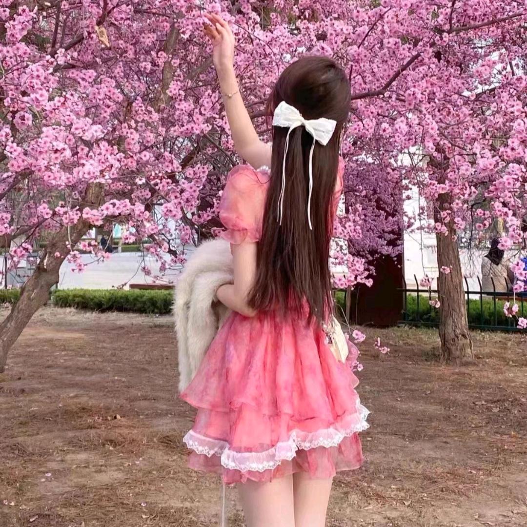 ༉兰Orchid༈