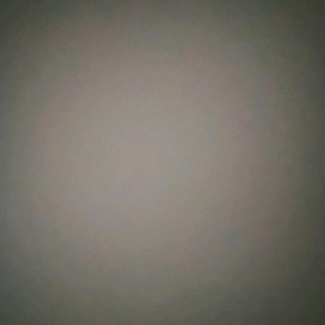 365566