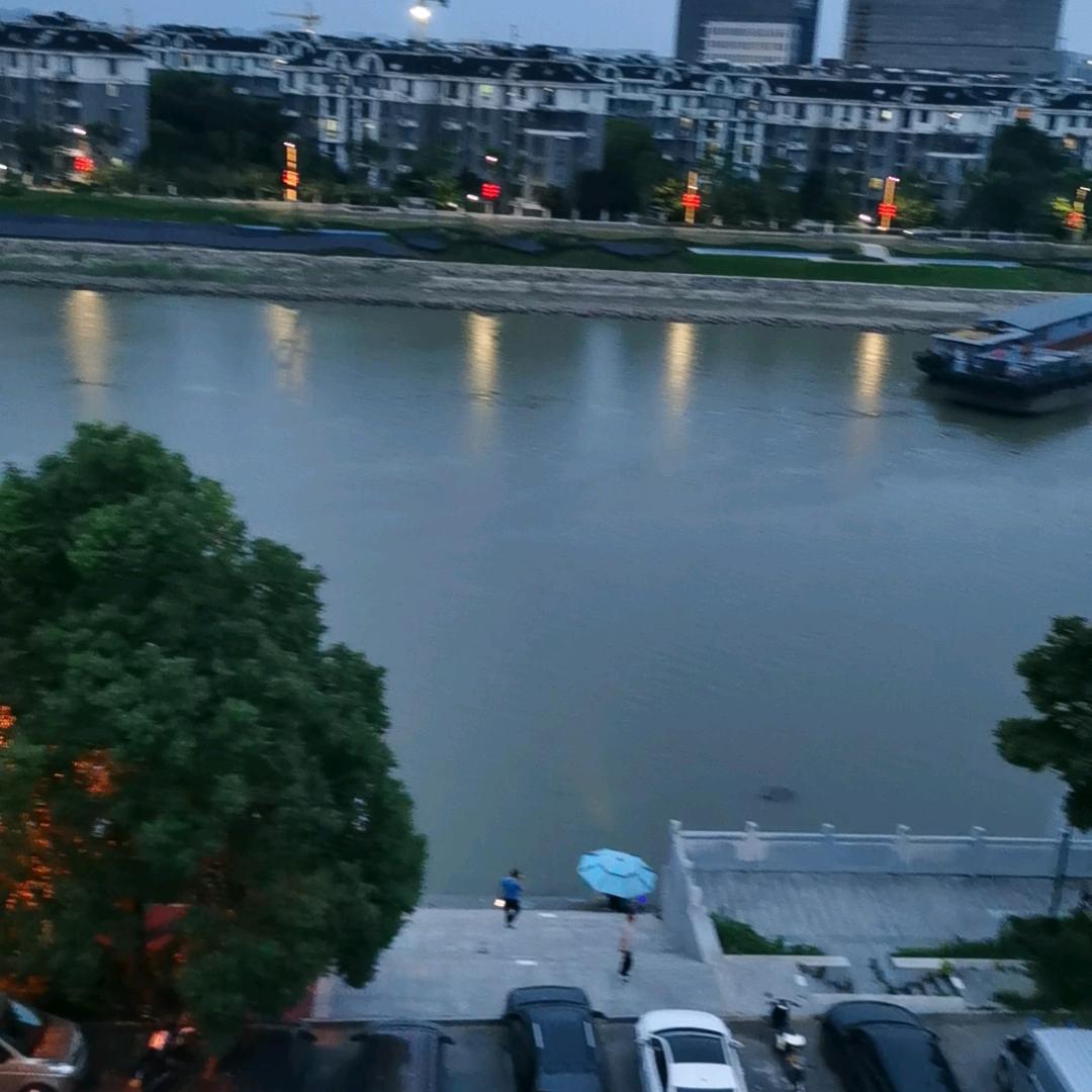 面具狗狗。