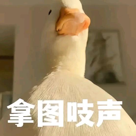 西瓜汁番茄酱充分搅拌