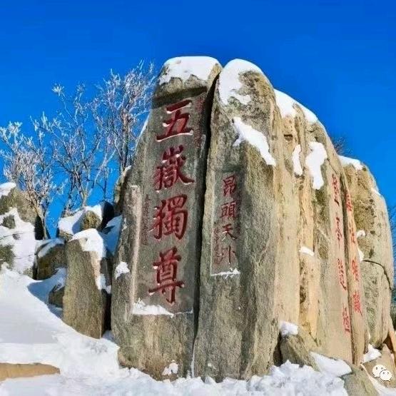 泰山