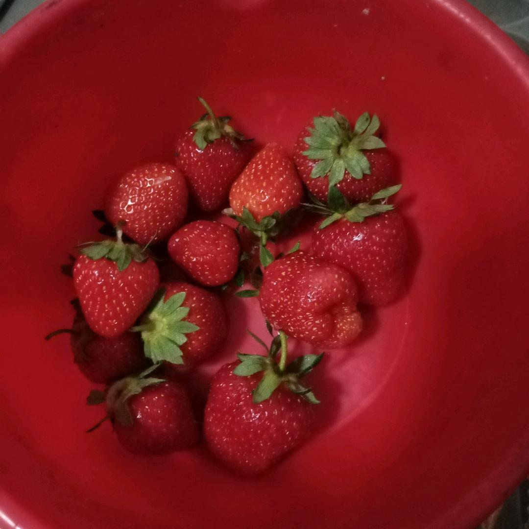 对口型我是认真的