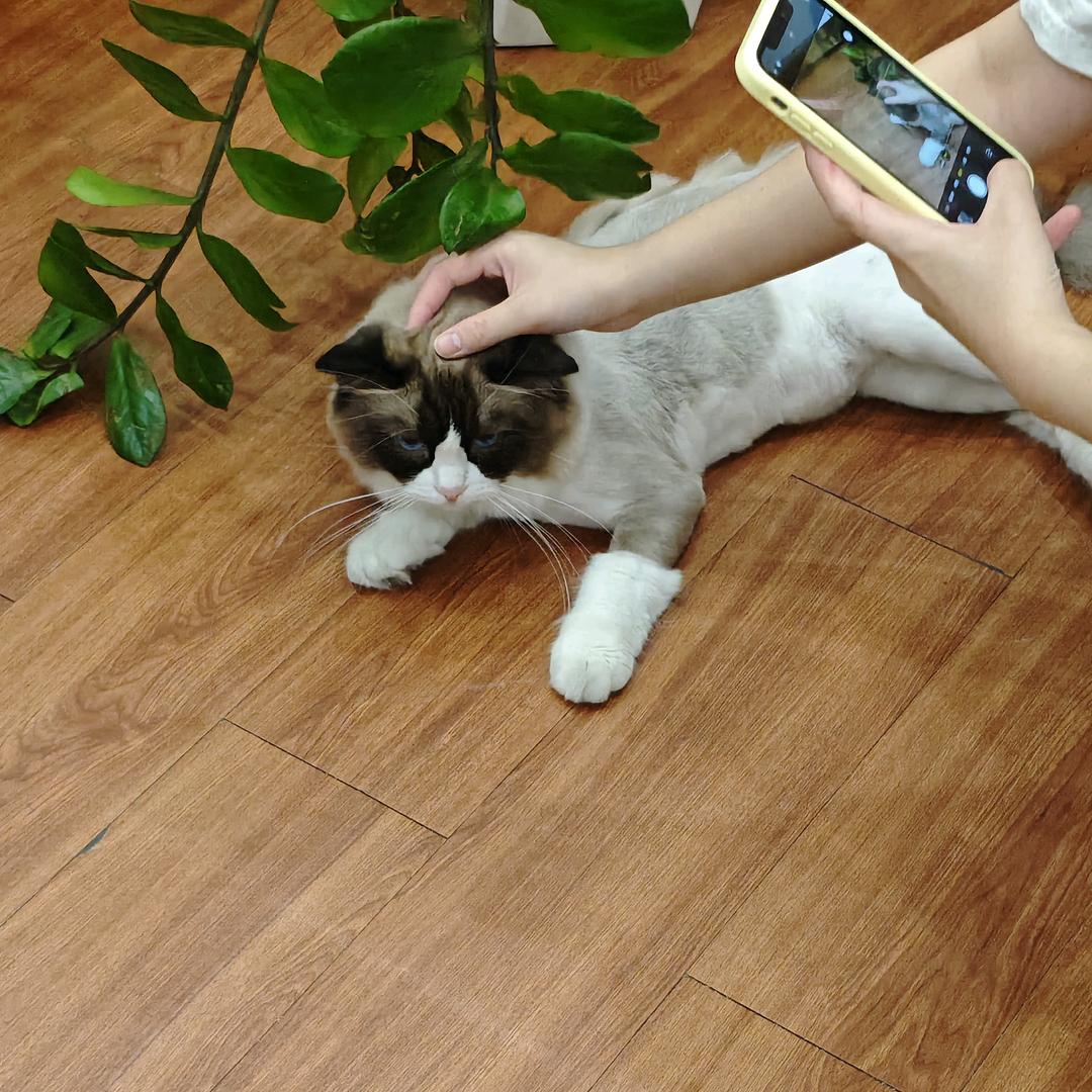 用户1915121381020