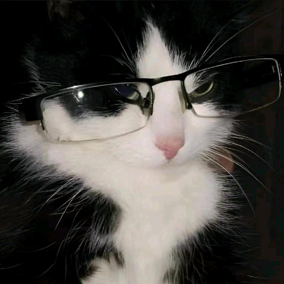 黎菡（不加强夜✓你等死吗）