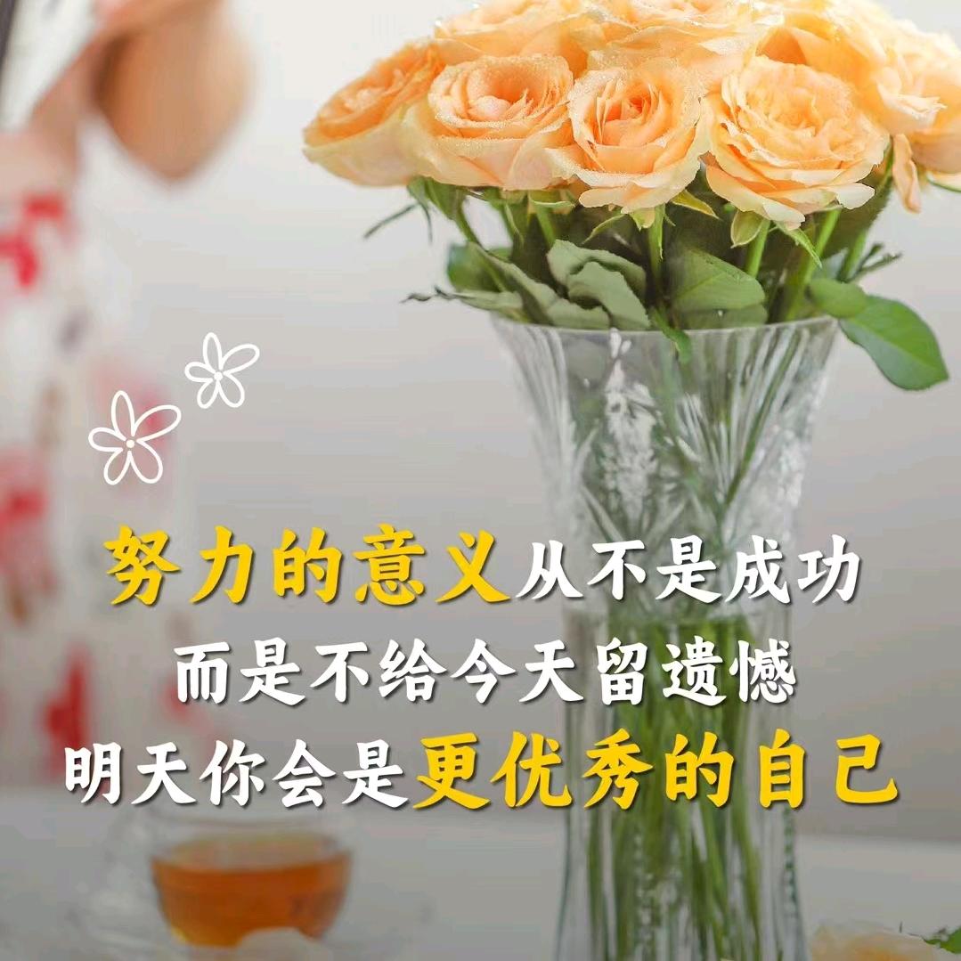 宾宾..