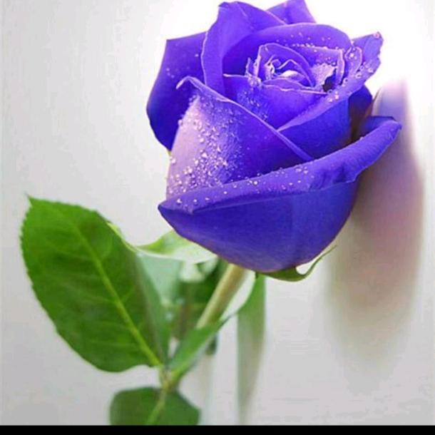 汉口北小镇(何姐)