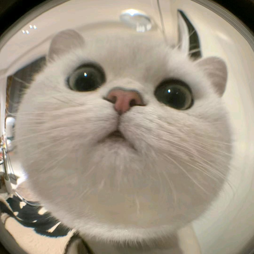 暂停