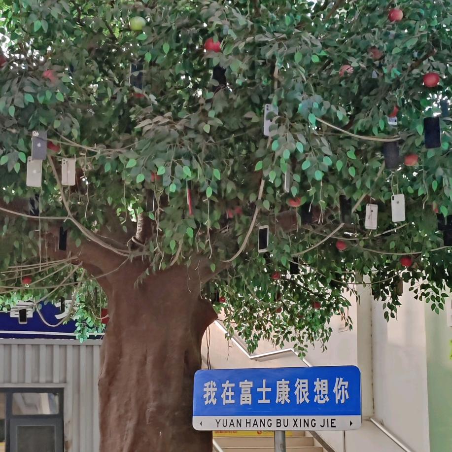 红红火火