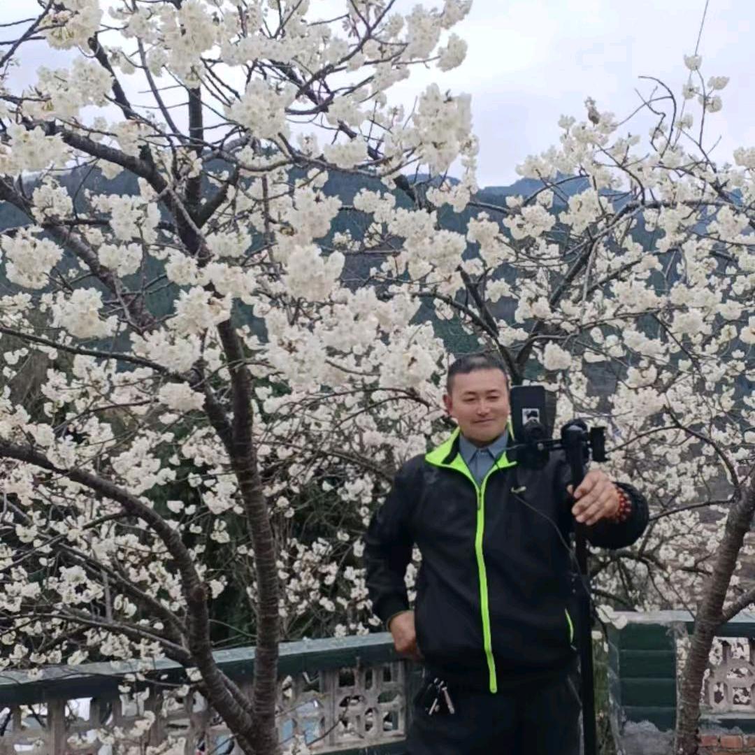 人生如歌，
