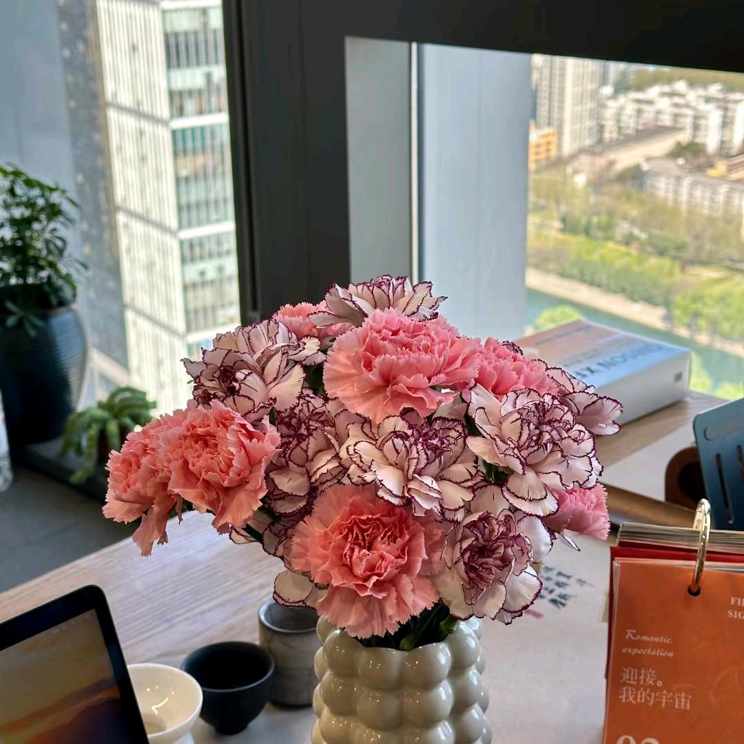 ꧁💞不要和差点意思的人周旋㜂孞💞꧁?