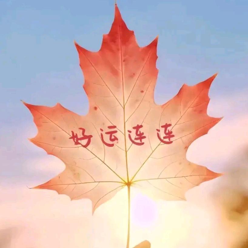 意犹未尽铸造厂家皮带轮