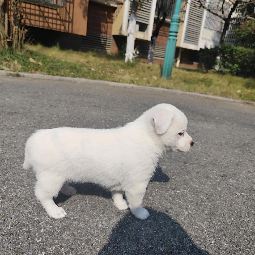 你是我的可可爱爱