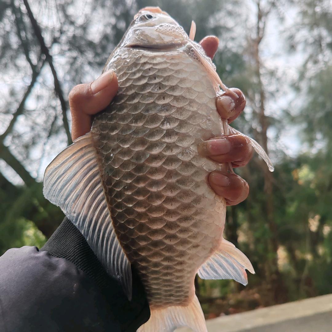 狂拉小王子（扫荡至尊）