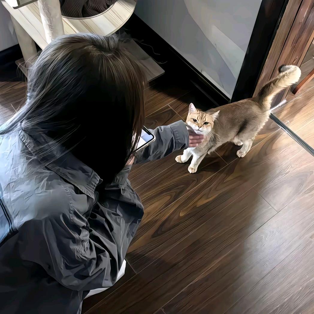 倾梓