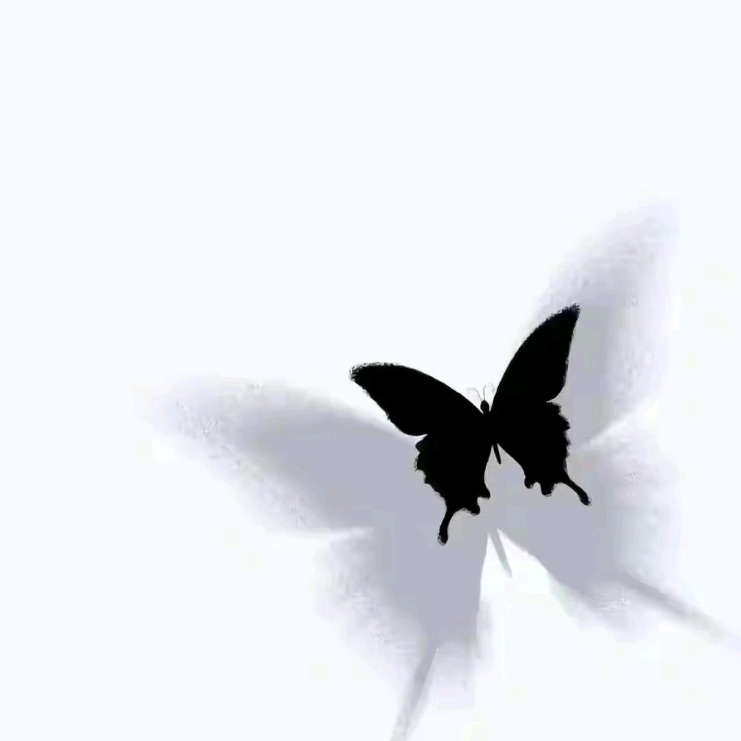 এ᭄等风来ꦿ⁵²⁰এ