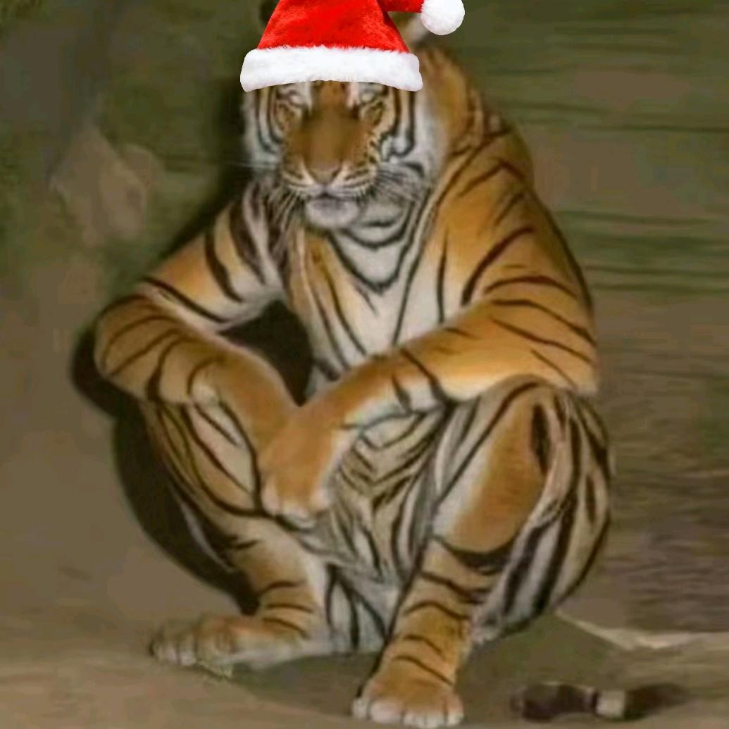 ఇ𝕬𝖚𝖐𝖔𝖐𝕬ఇ