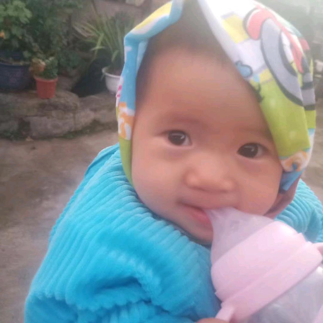 彤兴禽批发零售