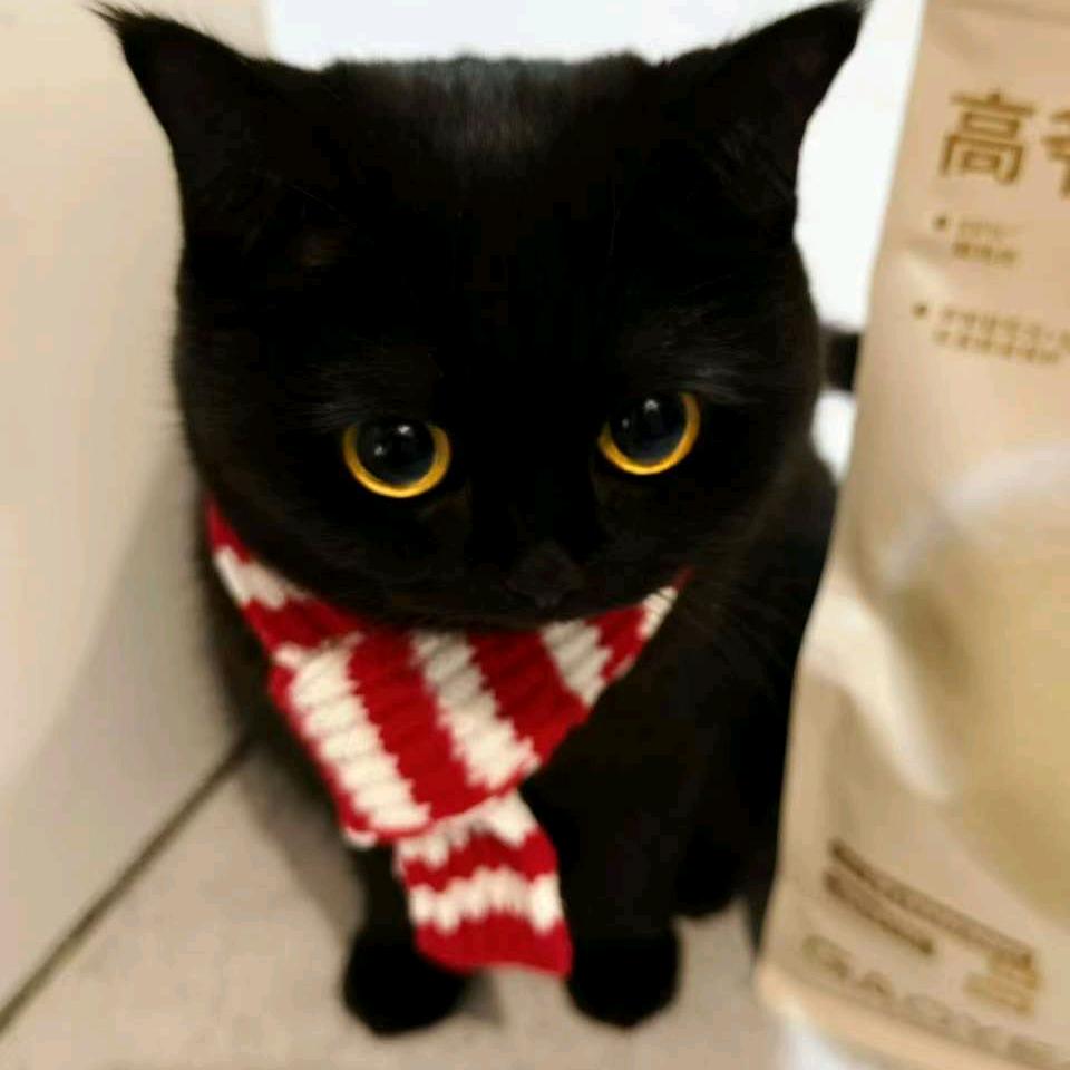 人贵在有自知之明