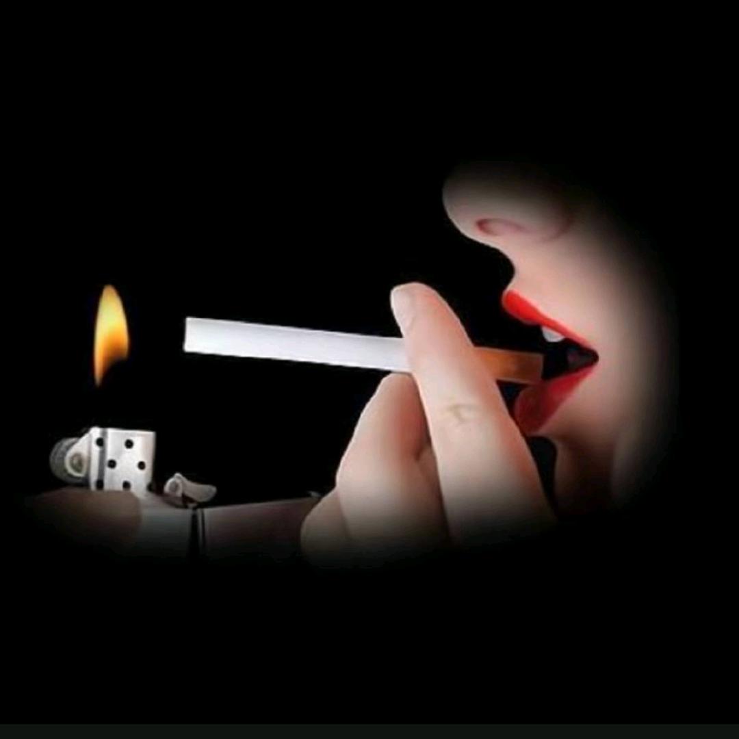顺着风呼吸