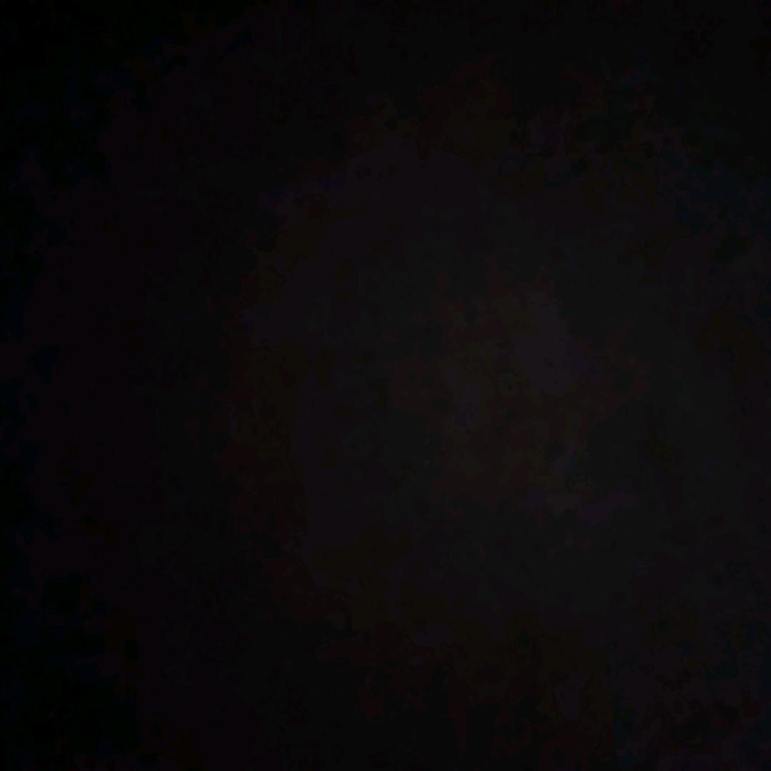 旺哥音频🎶