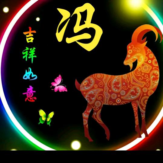 冯哥