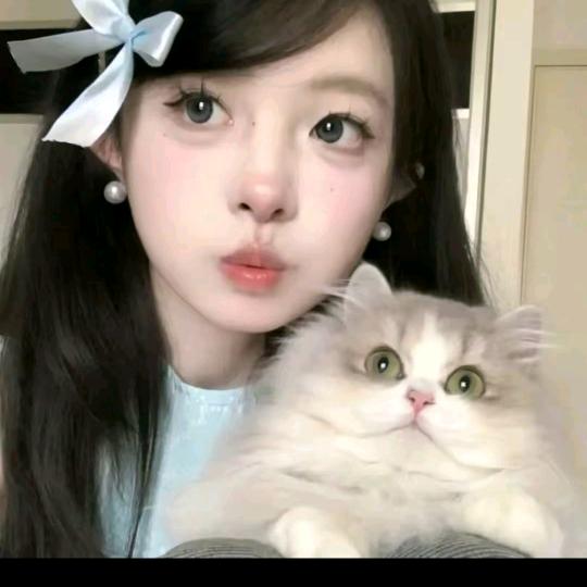 秋酱