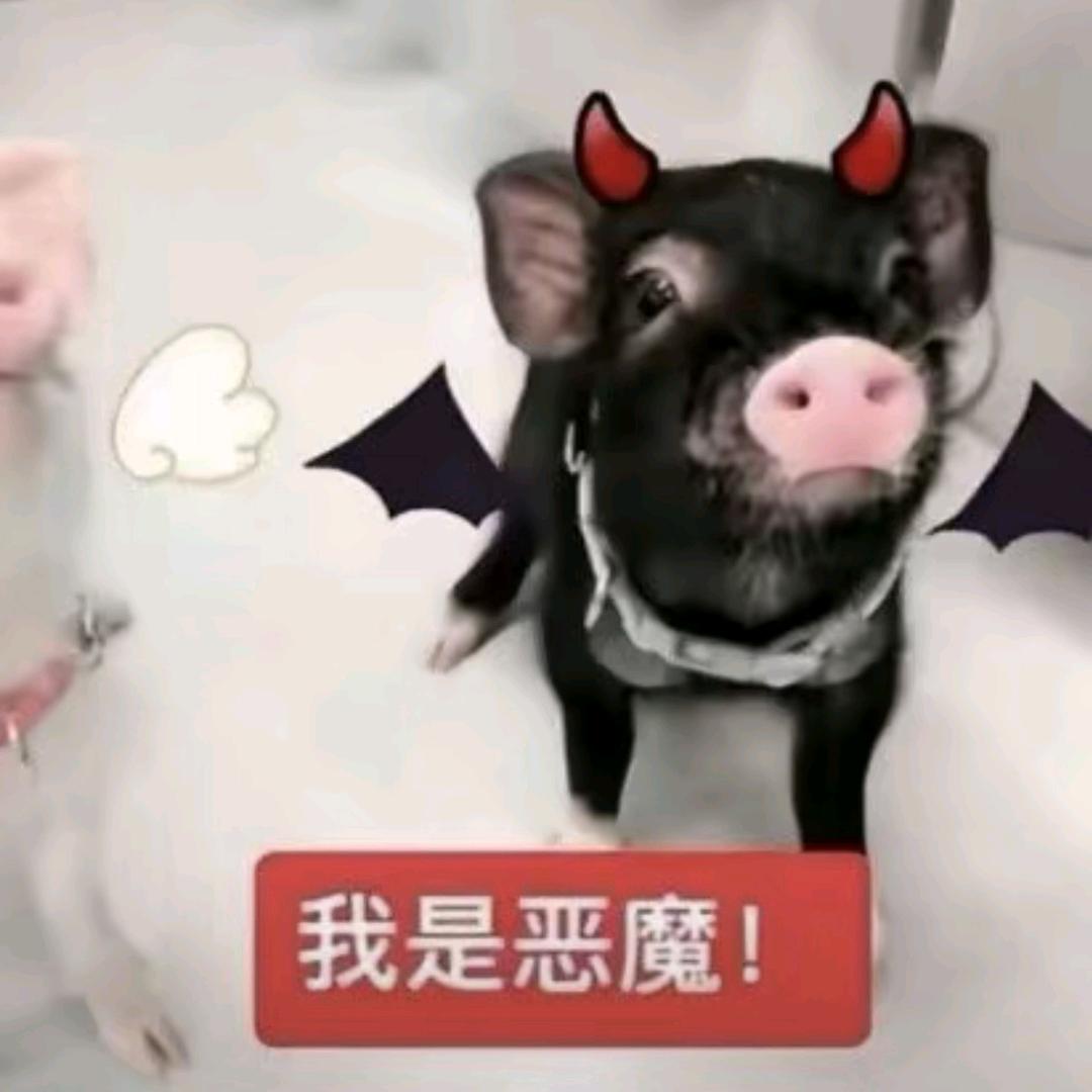 一周睡八天