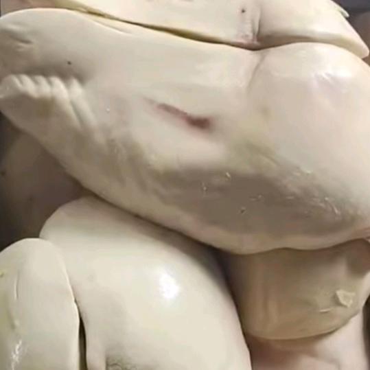 💞愿时光ꦿ待 ꦿ我ꦿ如ꦿ 初ཀྀ࿐