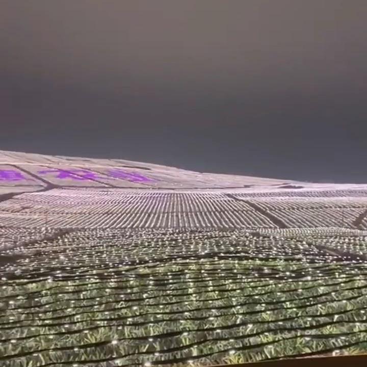 *灯光璀璨
