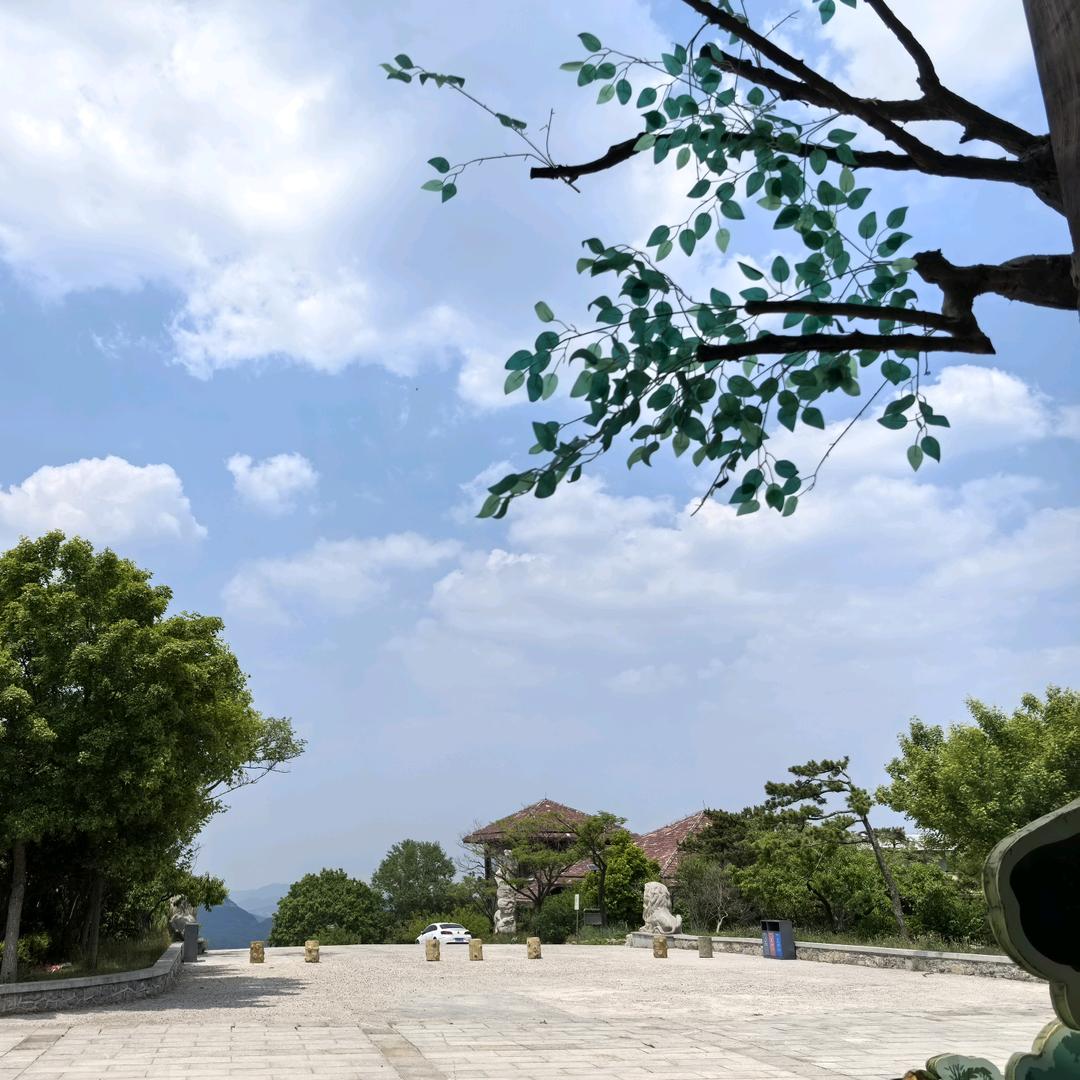 医心医意