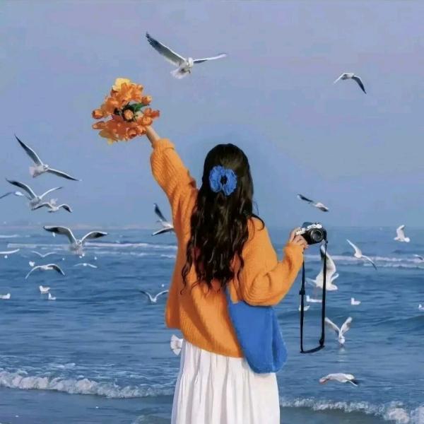 🌹@郑蒸日上@🌹