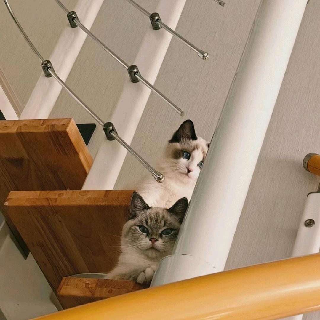 糖蒜