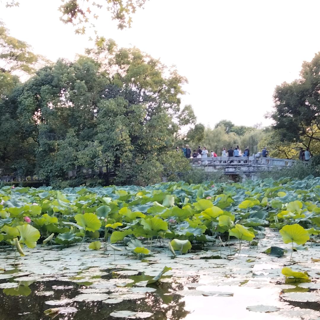 瑞丽蔡氏家具～美美